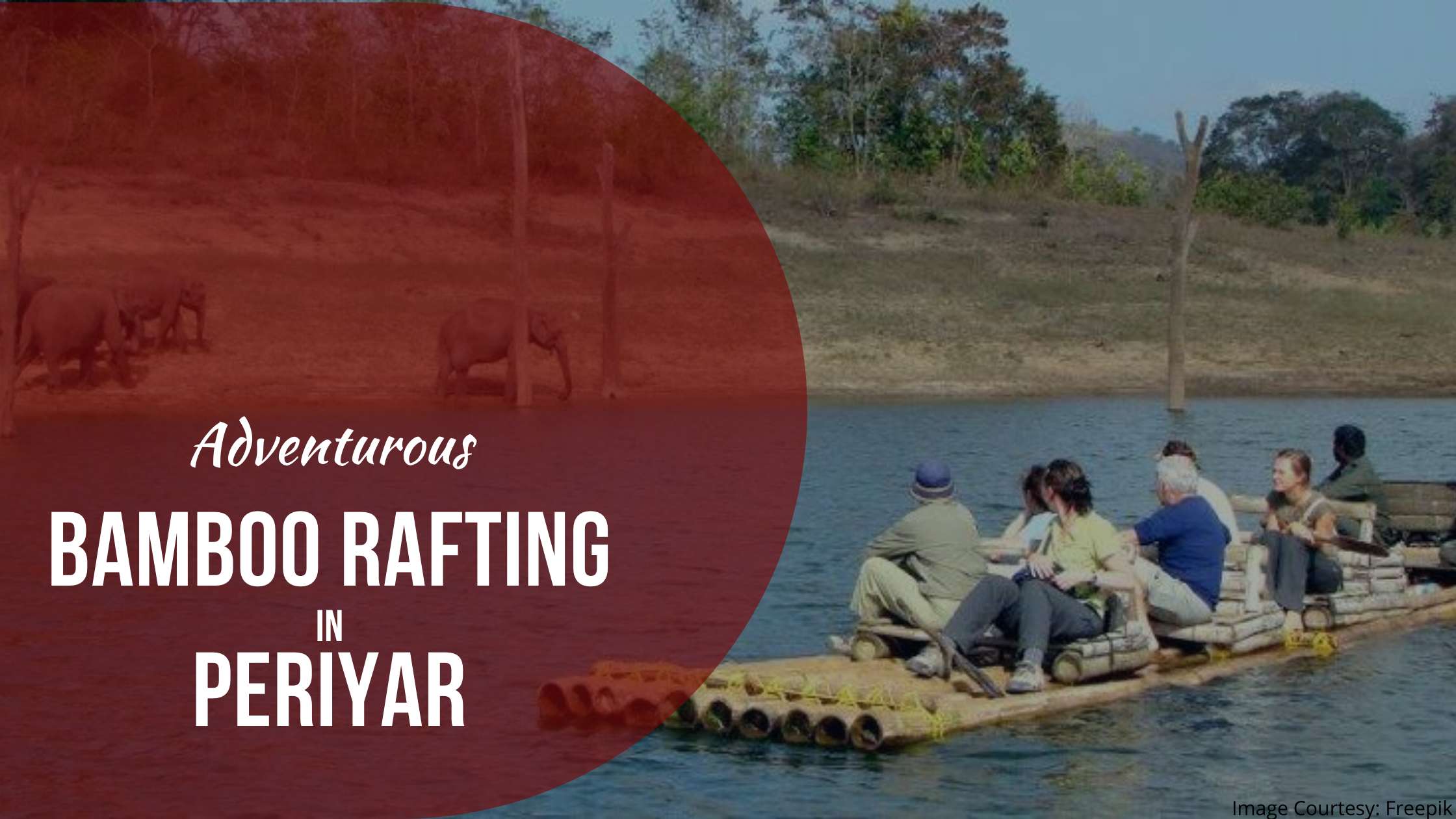 Bamboo Rafting in Periyar : Why is the Most Exciting Experience for Adventure Seekers
